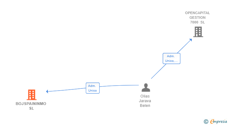 Vinculaciones societarias de BOJSPAININMO SL