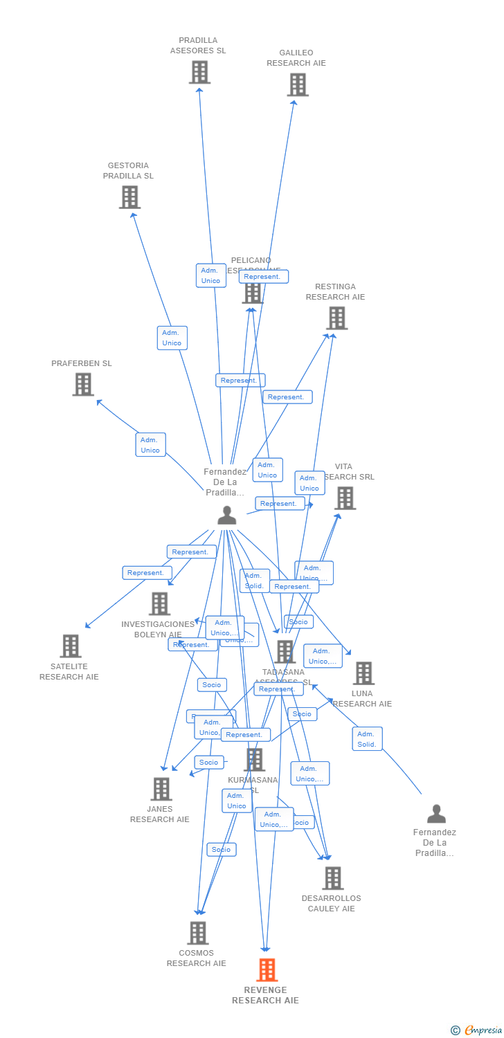 Vinculaciones societarias de REVENGE RESEARCH AIE