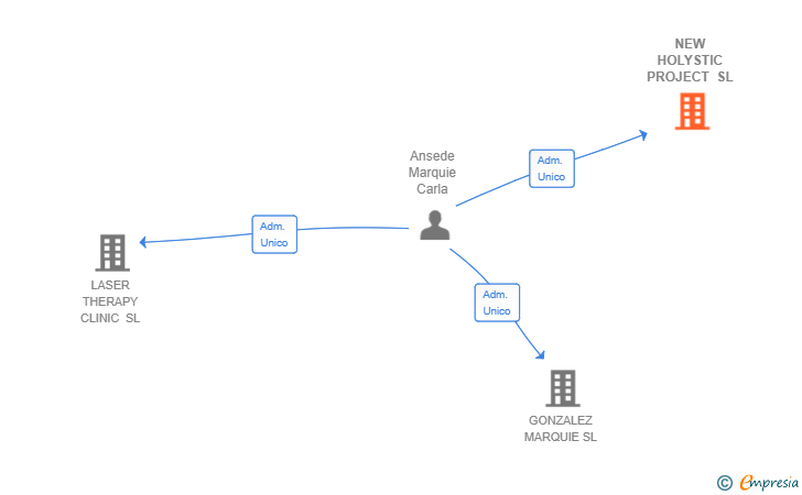 Vinculaciones societarias de NEW HOLYSTIC PROJECT SL