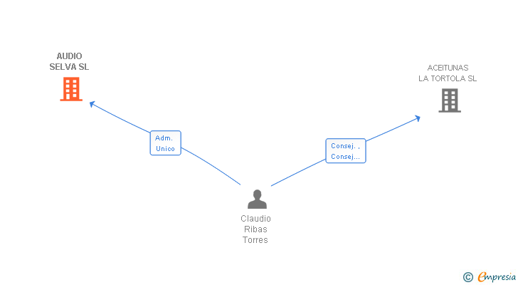 Vinculaciones societarias de AUDIO SELVA SL