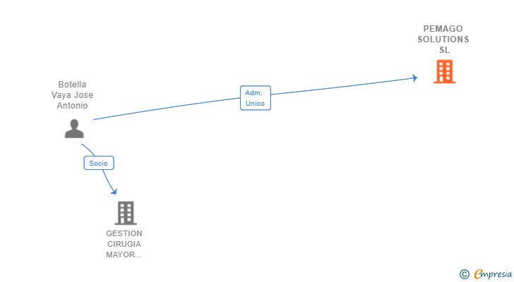 Vinculaciones societarias de PEMAGO SOLUTIONS SL