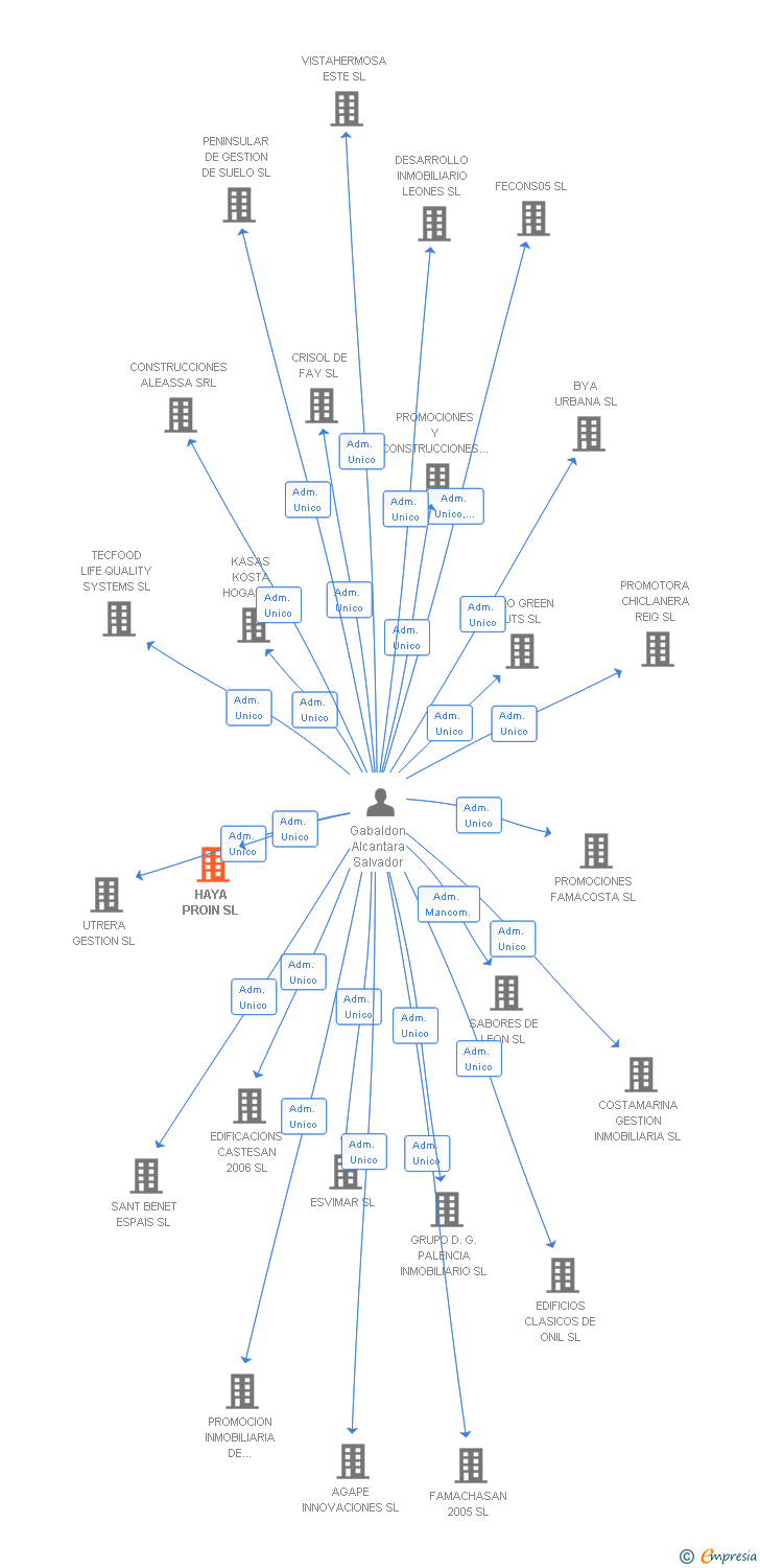 Vinculaciones societarias de HAYA PROIN SL