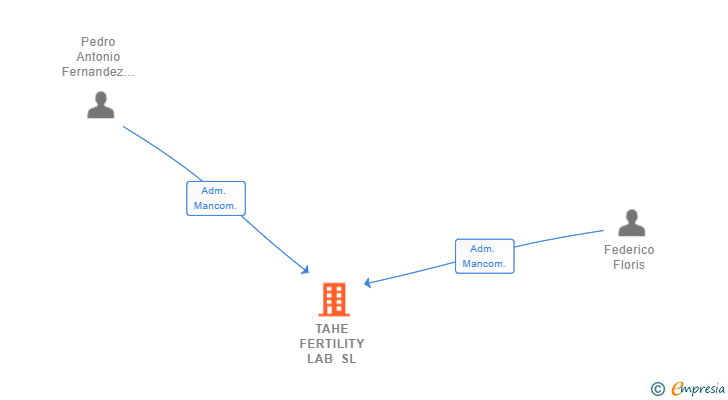 Vinculaciones societarias de TAHE FERTILITY LAB SL