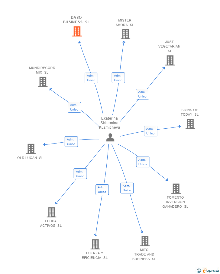 Vinculaciones societarias de DASO BUSINESS SL