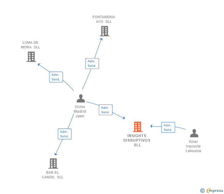 Vinculaciones societarias de INSIGHTS DISRUPTIVOS SLL