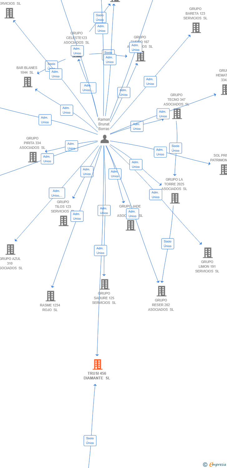 Vinculaciones societarias de TRUSI 456 DIAMANTE SL