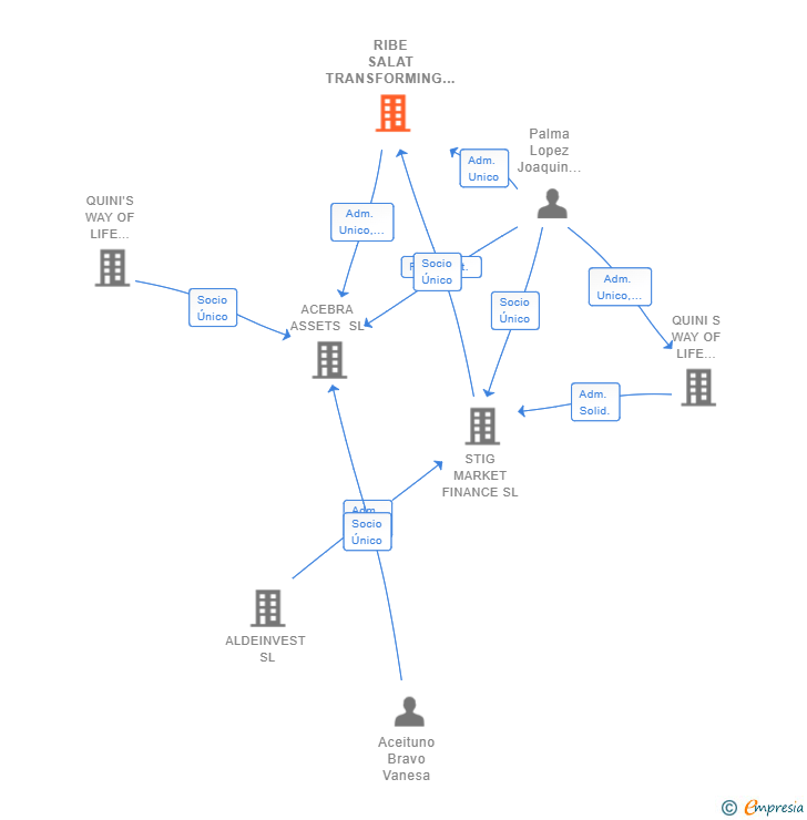 Vinculaciones societarias de RIBE SALAT TRANSFORMING INSURANCE GROUP SL