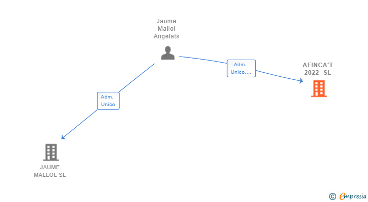 Vinculaciones societarias de AFINCA'T 2022 SL