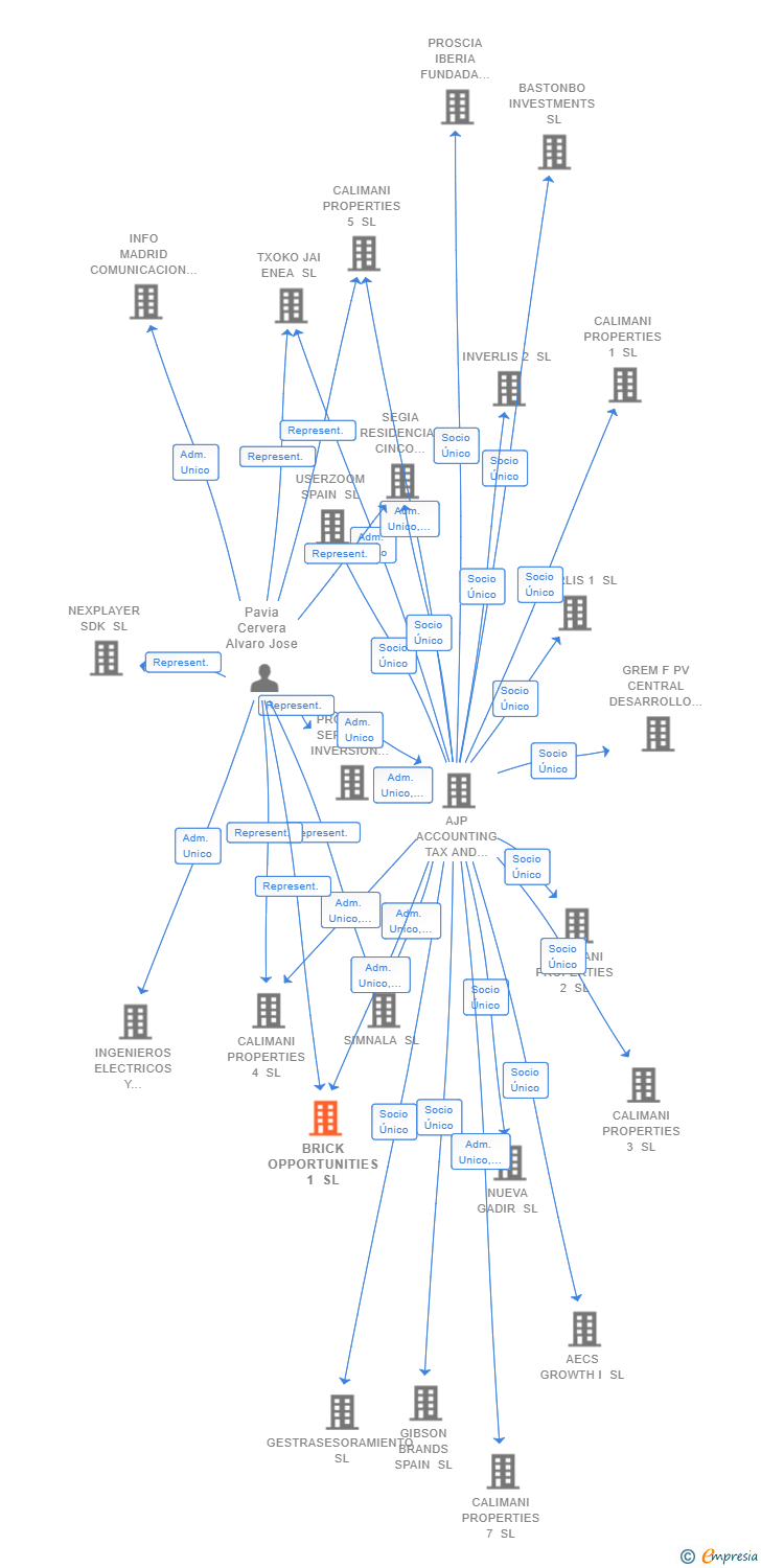 Vinculaciones societarias de BRICK OPPORTUNITIES 1 SL