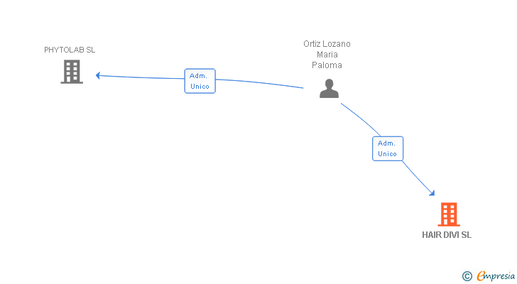 Vinculaciones societarias de HAIR DIVI SL