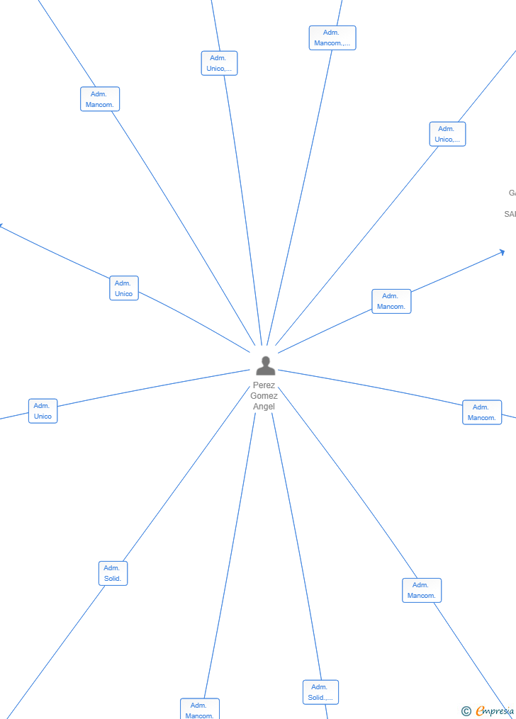 Vinculaciones societarias de GESTION Y DESARROLLOS ANGELES SL