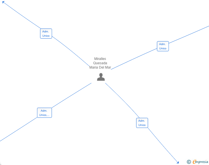 Vinculaciones societarias de MGM301121 INVERSION SL