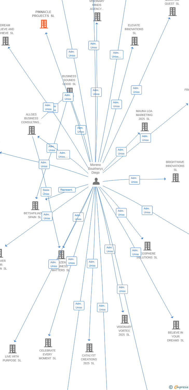 Vinculaciones societarias de PINNACLE PROJECTS SL