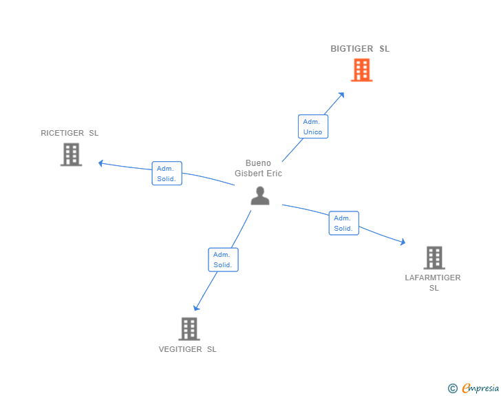 Vinculaciones societarias de BIGTIGER SL
