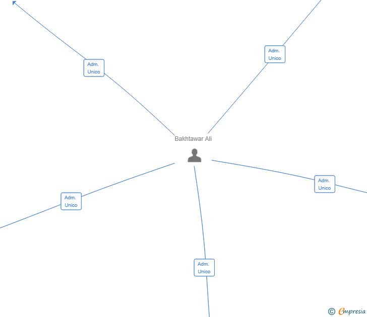 Vinculaciones societarias de VIRK TRADERS SL