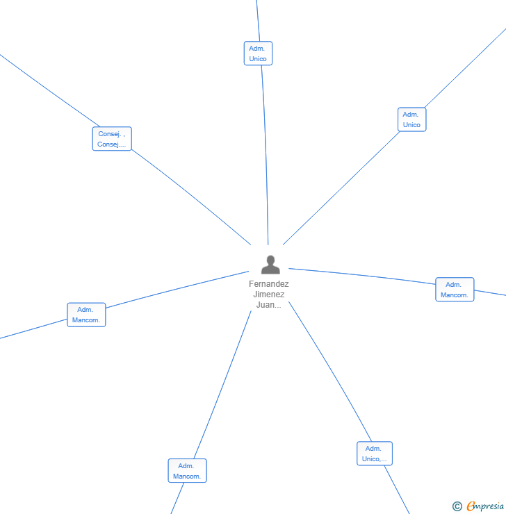 Vinculaciones societarias de BITOMIA SOFTWARE SL