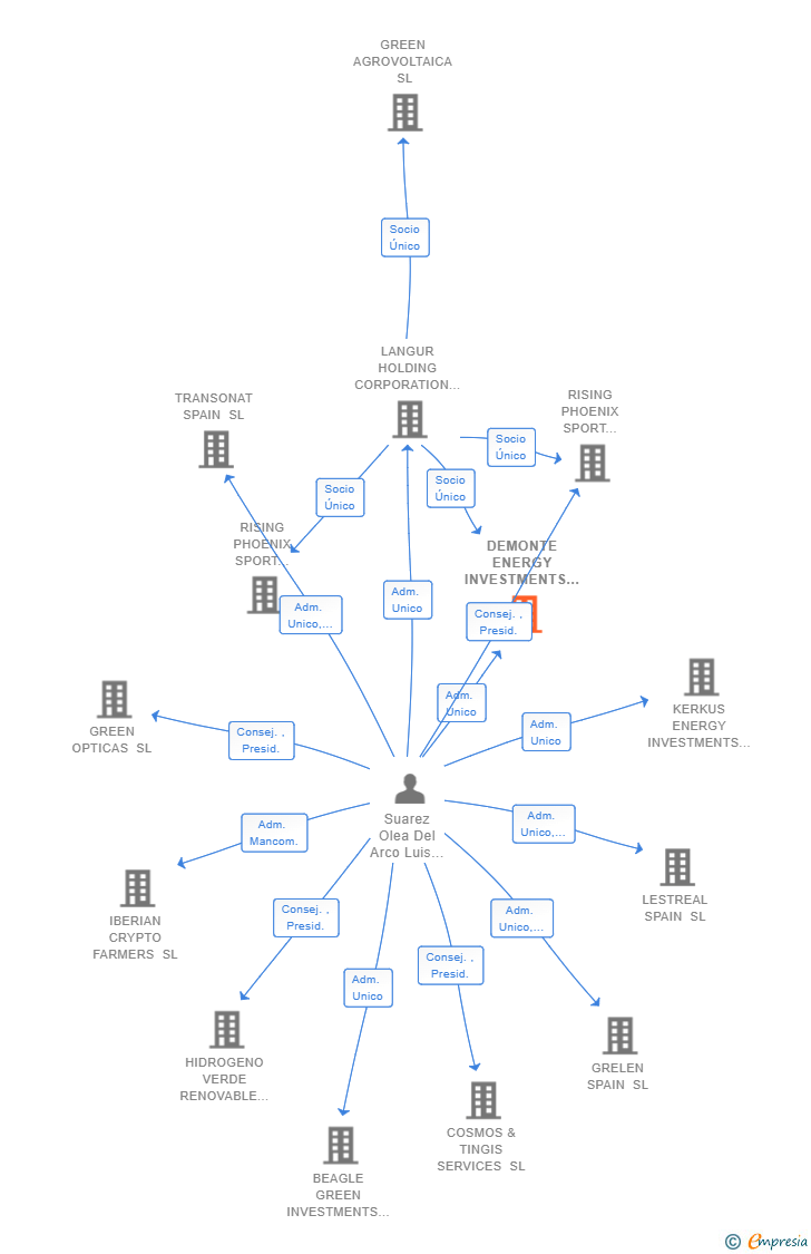 Vinculaciones societarias de DEMONTE ENERGY INVESTMENTS SL