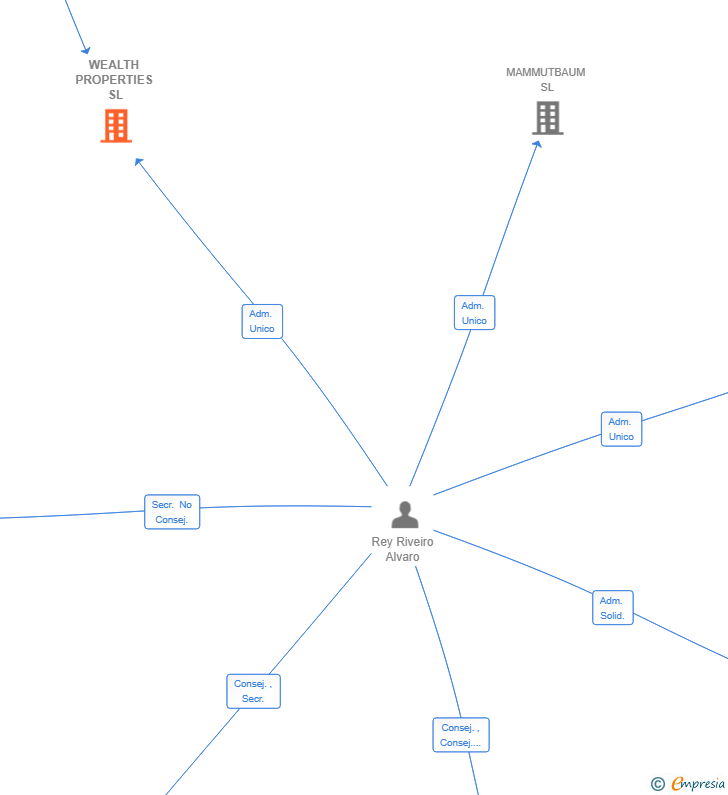 Vinculaciones societarias de WEALTH PROPERTIES SL