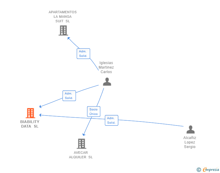 Vinculaciones societarias de BIABILITY DATA SL