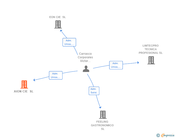 Vinculaciones societarias de AION CIE SL