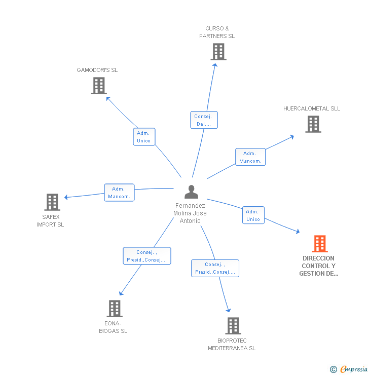 Vinculaciones societarias de DIRECCION CONTROL Y GESTION DE PYMES SL