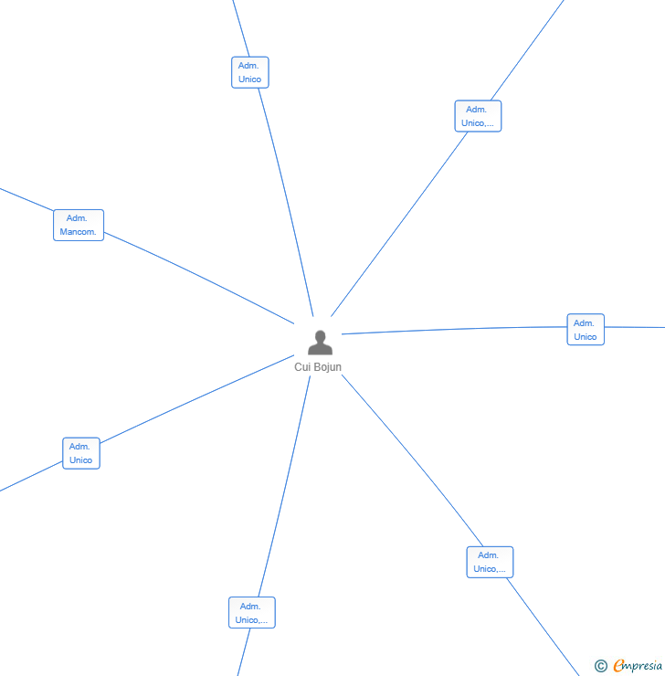 Vinculaciones societarias de CATOJI DIVERSION SL
