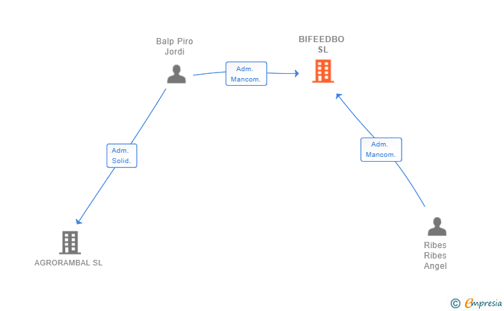 Vinculaciones societarias de BIFEEDBO SL