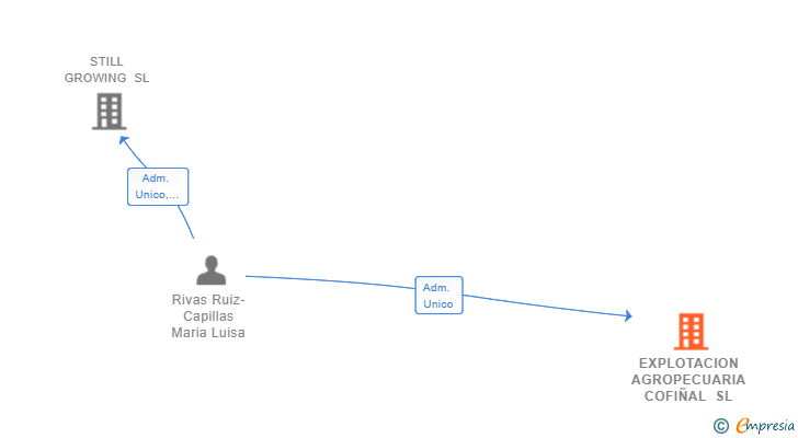 Vinculaciones societarias de EXPLOTACION AGROPECUARIA COFIÑAL SL