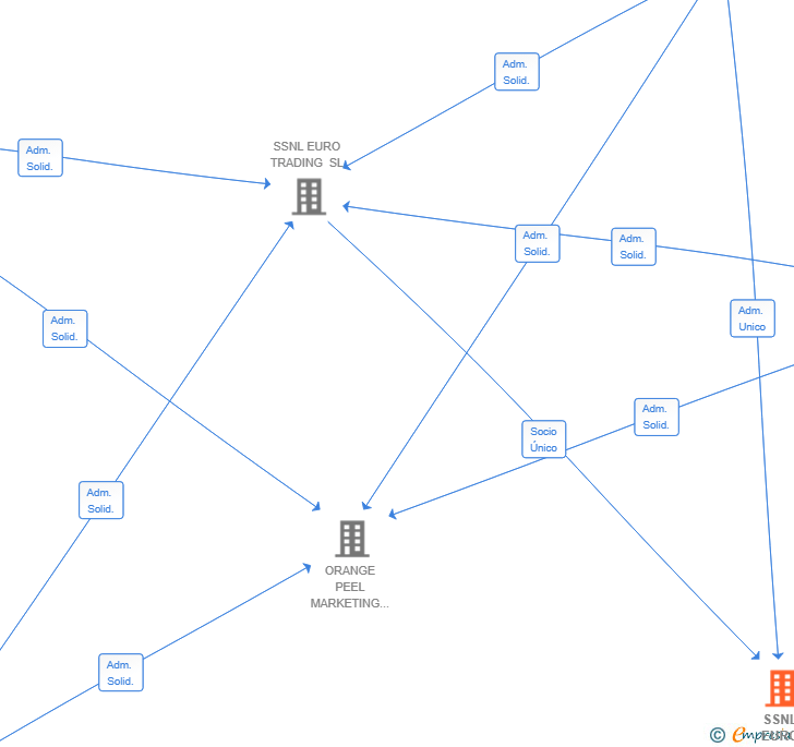 Vinculaciones societarias de SSNL EURO TRADING SOCIEDAD SUBSIDIARY SL