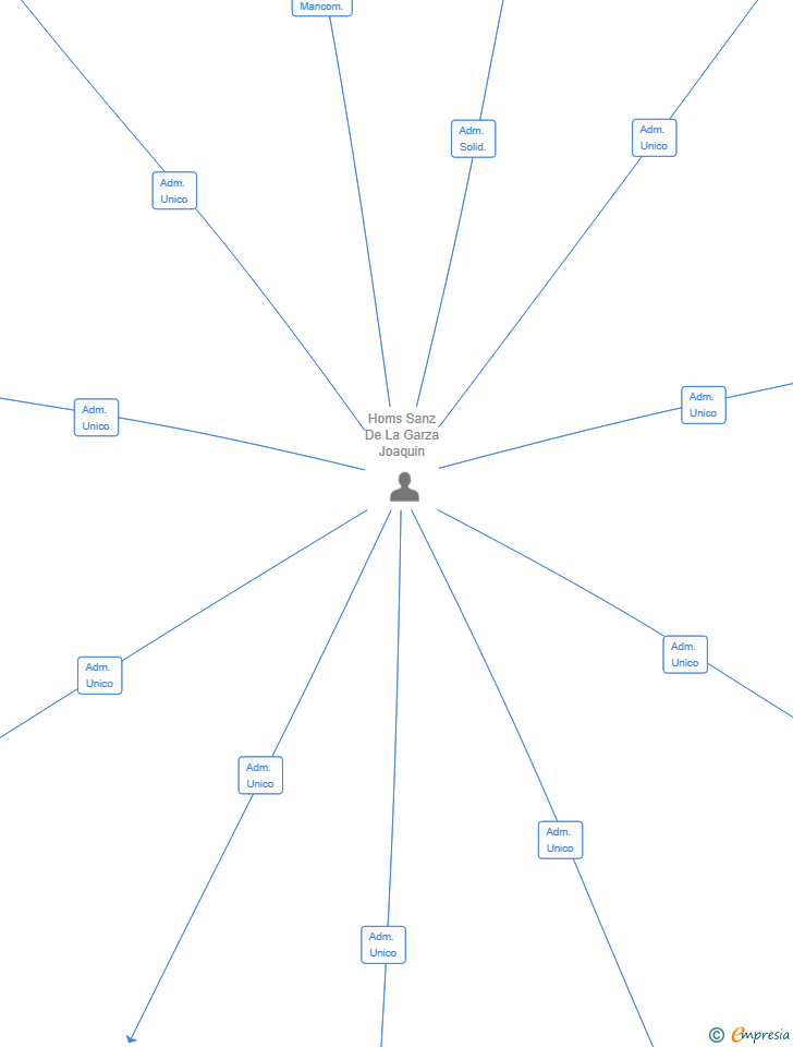 Vinculaciones societarias de SOLVIRA PREMIUM SL