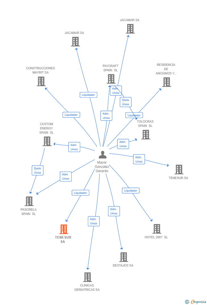 Vinculaciones societarias de TENESUR SA