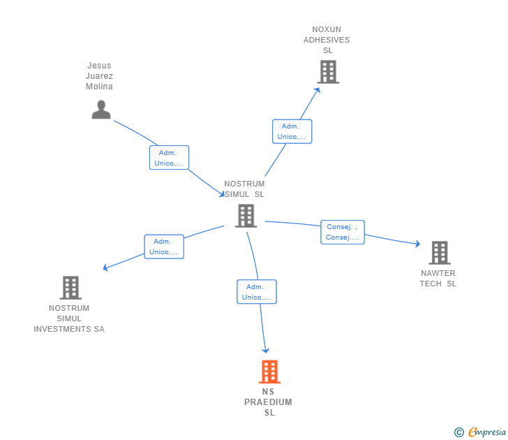 Vinculaciones societarias de NS PRAEDIUM SL