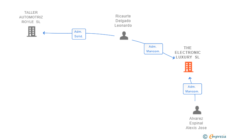 Vinculaciones societarias de THE ELECTRONIC LUXURY SL