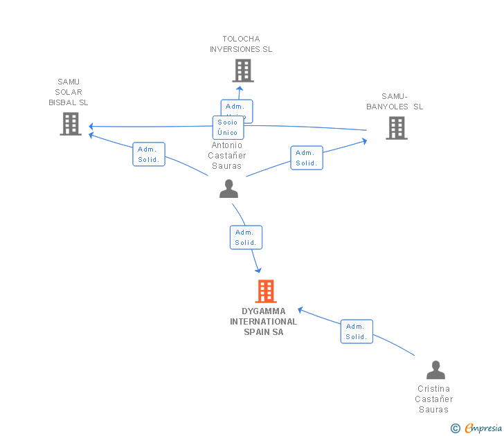 Vinculaciones societarias de DYGAMMA INTERNATIONAL SPAIN SA