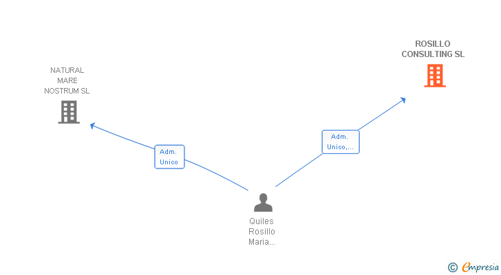 Vinculaciones societarias de ROSILLO CONSULTING SL