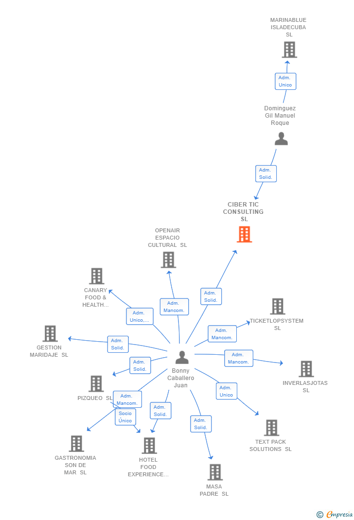 Vinculaciones societarias de CIBER TIC CONSULTING SL
