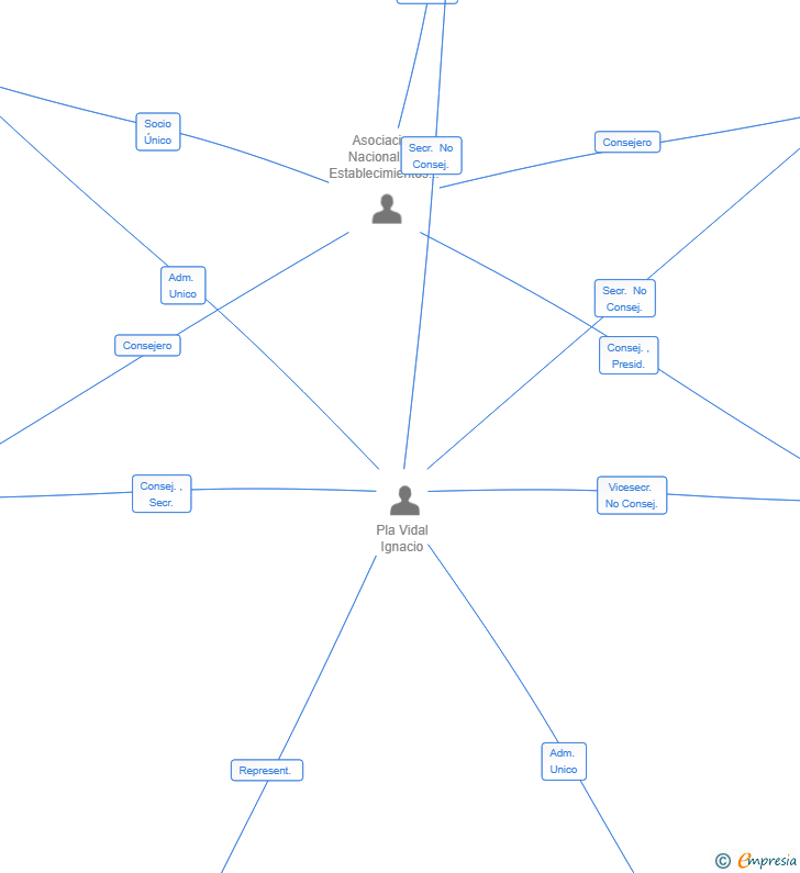 Vinculaciones societarias de ASNEF - VERID SL