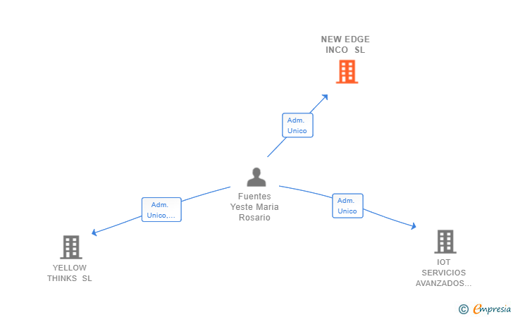 Vinculaciones societarias de NEW EDGE INCO SL