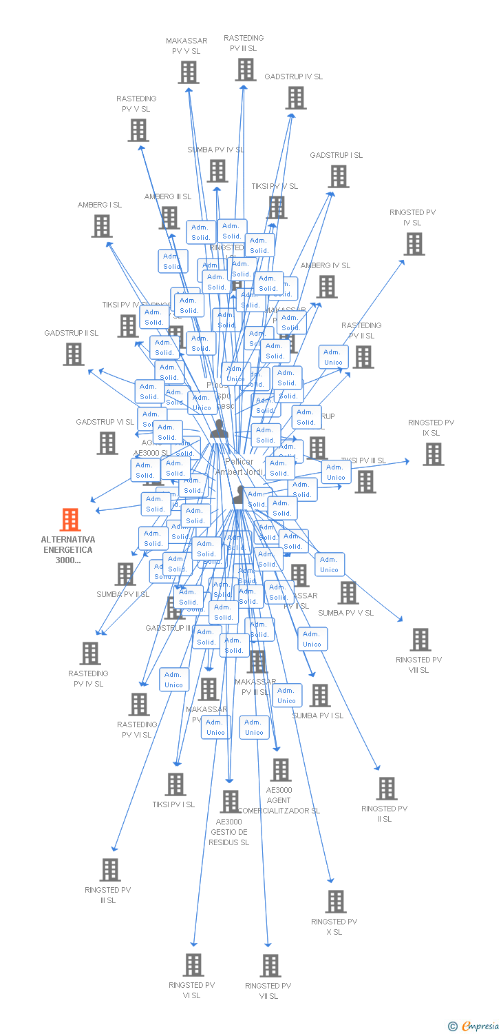 Vinculaciones societarias de ALTERNATIVA ENERGETICA 3000 INVESTMENTS SL