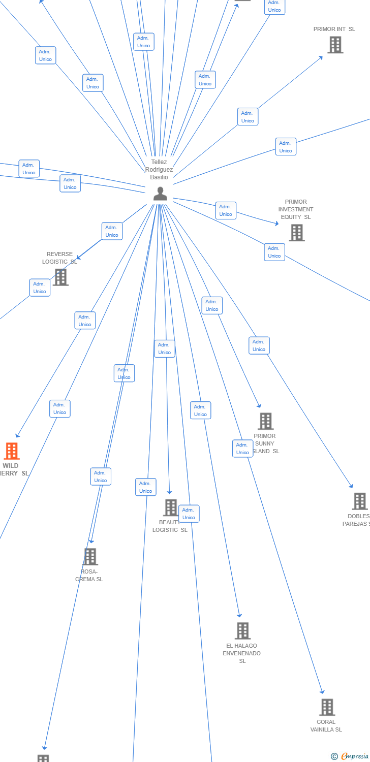 Vinculaciones societarias de WILD CHERRY SL