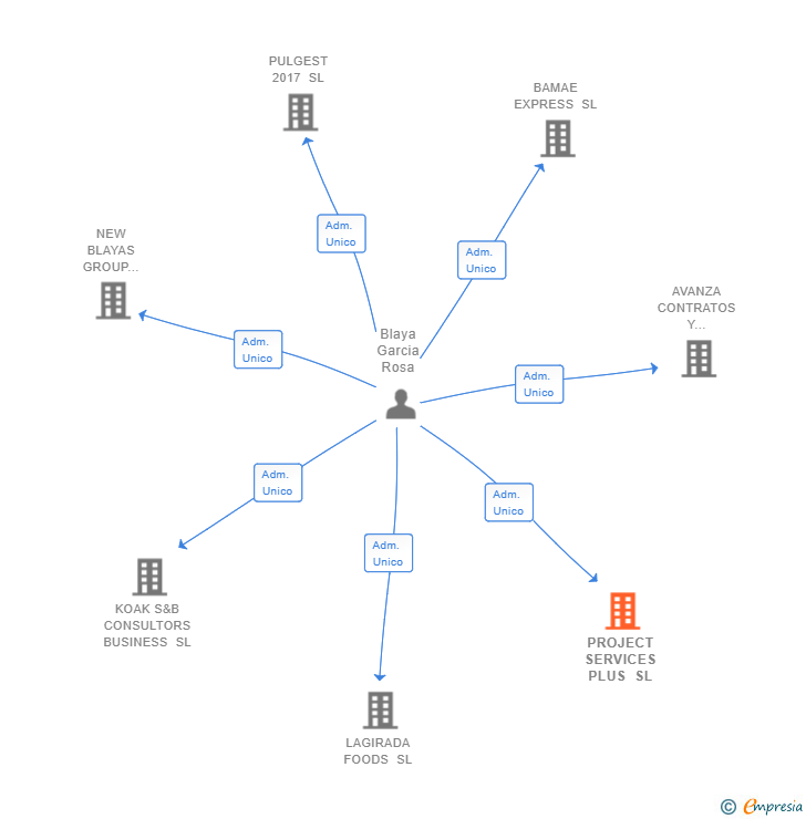 Vinculaciones societarias de PROJECT SERVICES PLUS SL