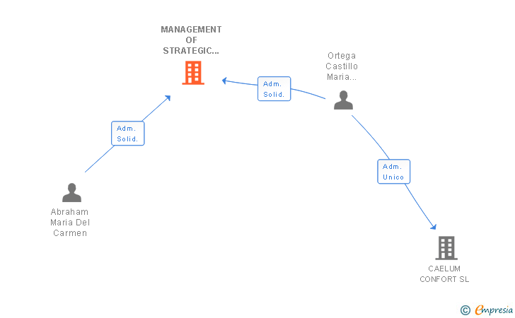 Vinculaciones societarias de MANAGEMENT OF STRATEGIC RESOURCES SL