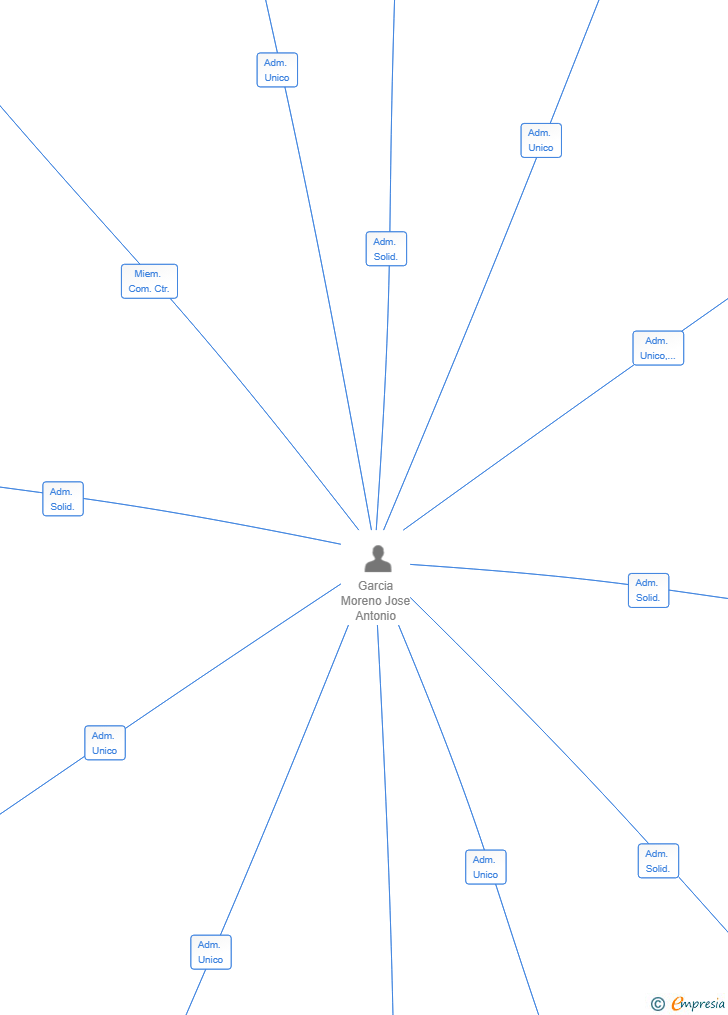 Vinculaciones societarias de TALLER LASER DEL SUR SL