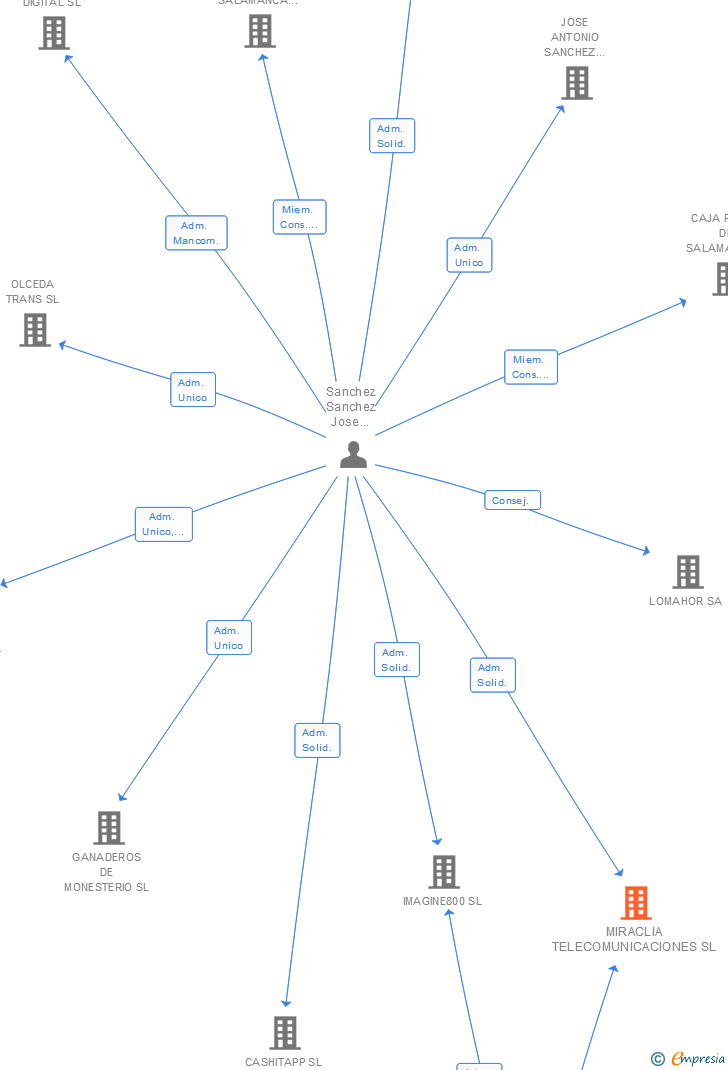 Vinculaciones societarias de MIRACLIA TELECOMUNICACIONES SL (EXTINGUIDA)