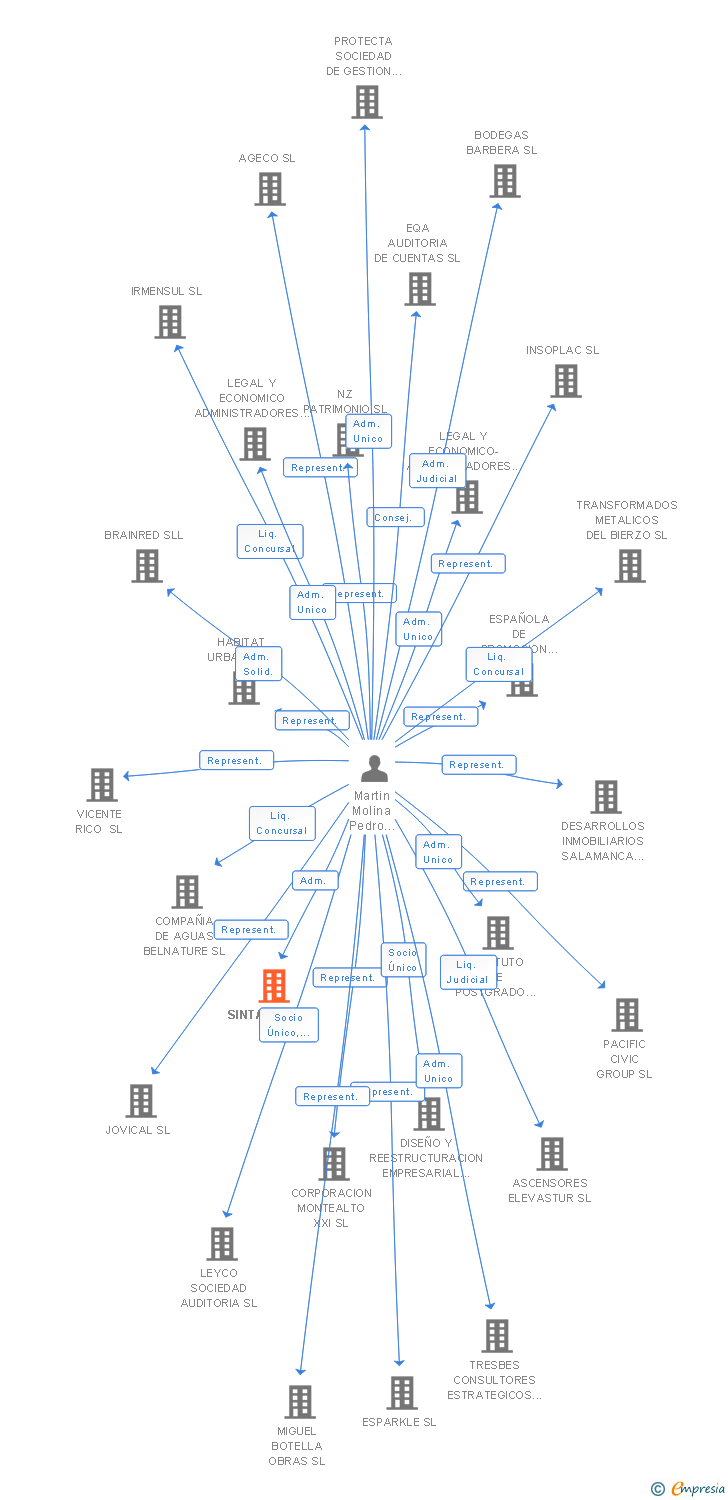 Vinculaciones societarias de SINTAGMO SL