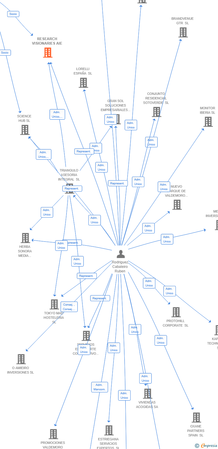 Vinculaciones societarias de RESEARCH VISIONARIES AIE