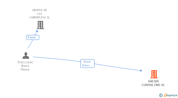 Vinculaciones societarias de SAESDI CONSULTING SL