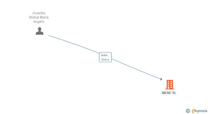 Vinculaciones societarias de NIENE SL