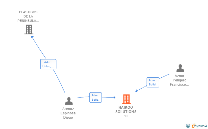 Vinculaciones societarias de HAIKOO SOLUTIONS SL