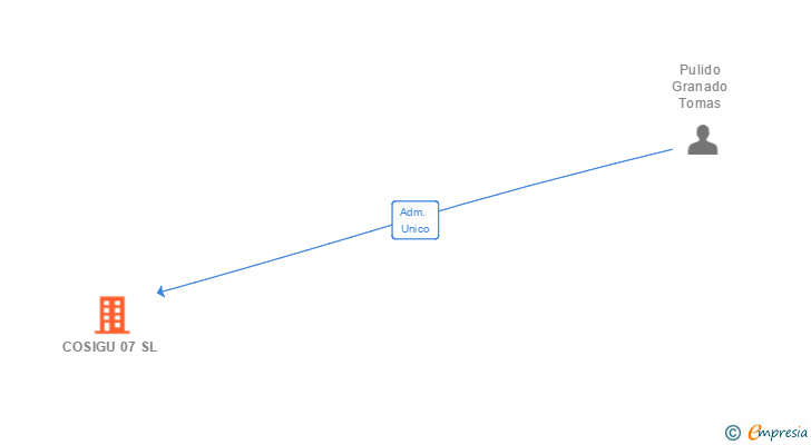 Vinculaciones societarias de COSIGU 07 SL
